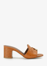 Rocio - Mules