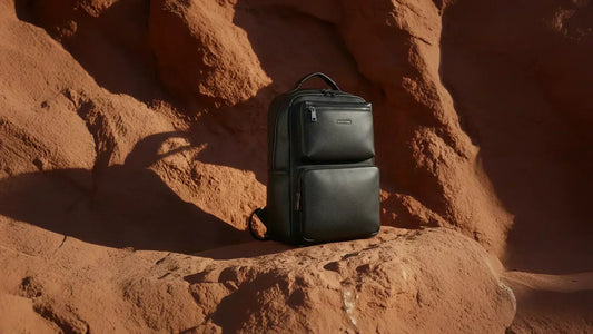 How to Care for Leather Bags and Shoes to Make Them Last Longer