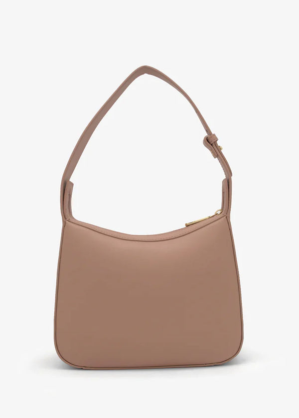 Amy1 - Brown