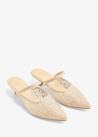 Navodya - Crystal Mules